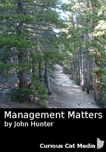 book cover for Management Matters: Building Enterprise Capability